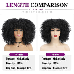 Afro Kinky Curly Wig for Black Women - Short, Synthetic, Blonde, Red, Ombre, Glueless, High - Temperature Cosplay Wigs - Free Delivery Worldwide only at Flexi Africa