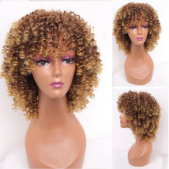 Amir Synthetic Short Curly Wigs for Women Black Hair Afro Kinky Curly Wigs with Bangs - Free Delivery Worldwide only at Flexi Africa