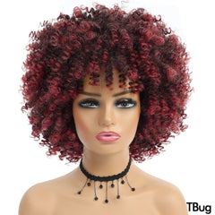 Short Hair Afro Kinky Curly Synthetic Wig With Bangs - Free Delivery Worldwide only at Flexi Africa